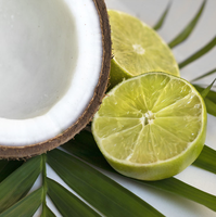 Coconut Lime Verbena Candle